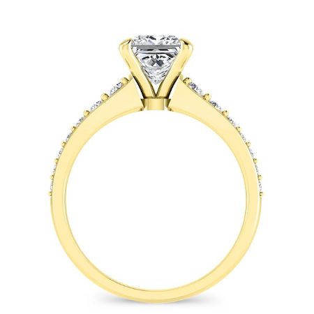 Holly Princess Moissanite Bridal Set yellowgold