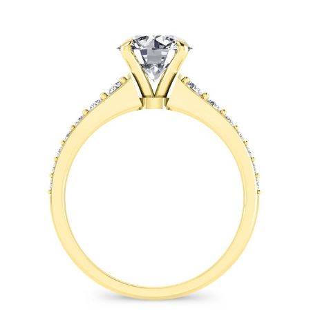 Holly Round Moissanite Bridal Set yellowgold