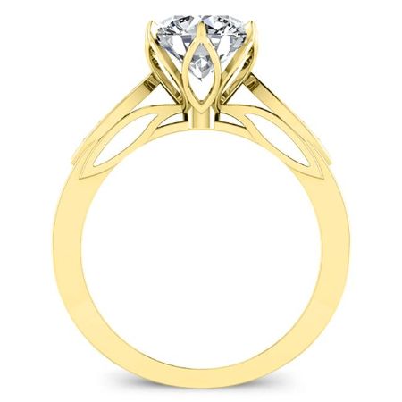 Pieris Round Moissanite Bridal Set yellowgold