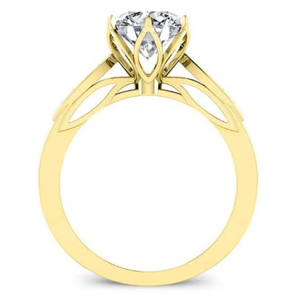 Pieris Round Moissanite Bridal Set yellowgold