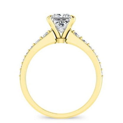 Holly Princess Moissanite Bridal Set yellowgold